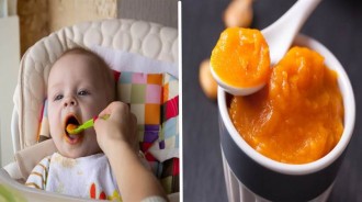 6個月寶寶輔食怎樣做好？5道輔食做法簡單增強抵抗力不生病，促進大腦發育
